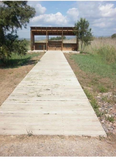 Apartamento Junto Al Mar Con Wifi Y Piscina Sagunto Exterior foto